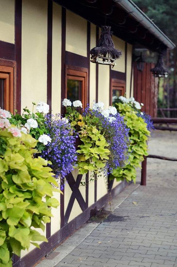 Gosciniec Marzymieta