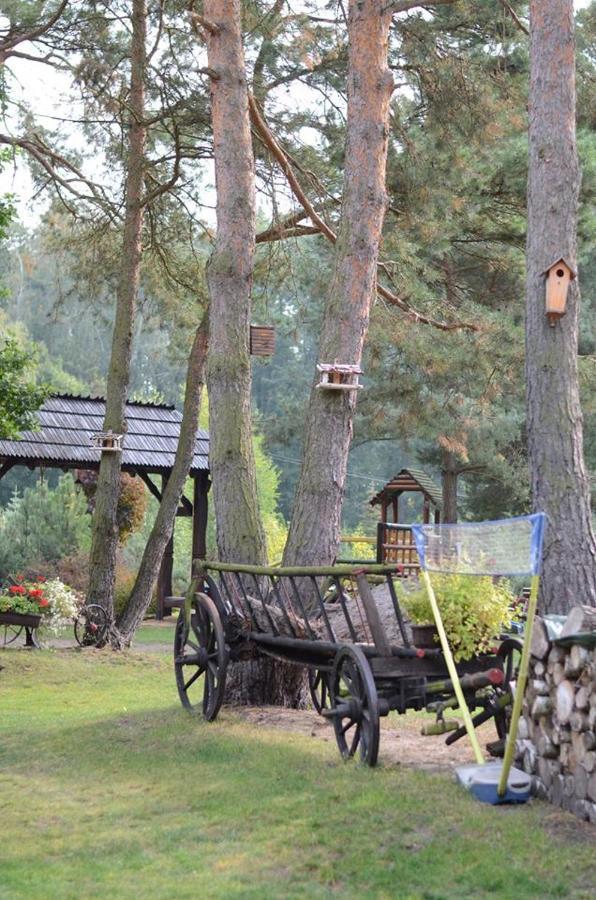 Gosciniec Marzymieta Homestay *